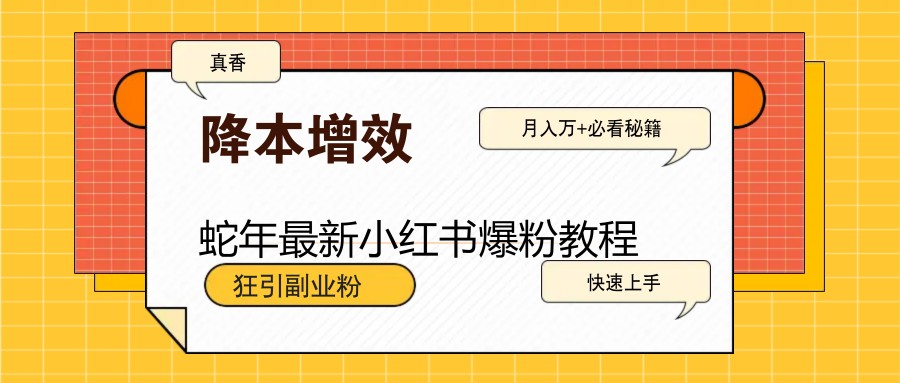蛇年最新小红书爆粉教程，狂引副业粉，月入万+必看-优优云网创