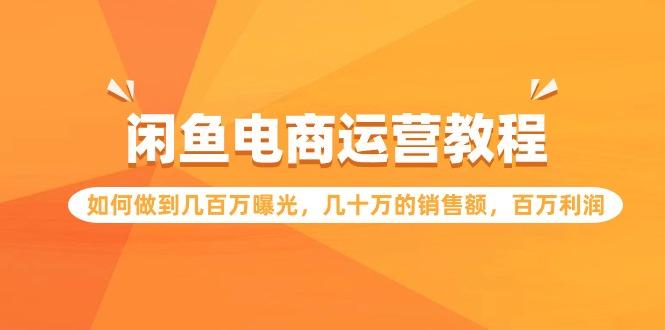 (9560期)闲鱼电商运营教程：如何做到几百万曝光，几十万的销售额，百万利润-优优云网创
