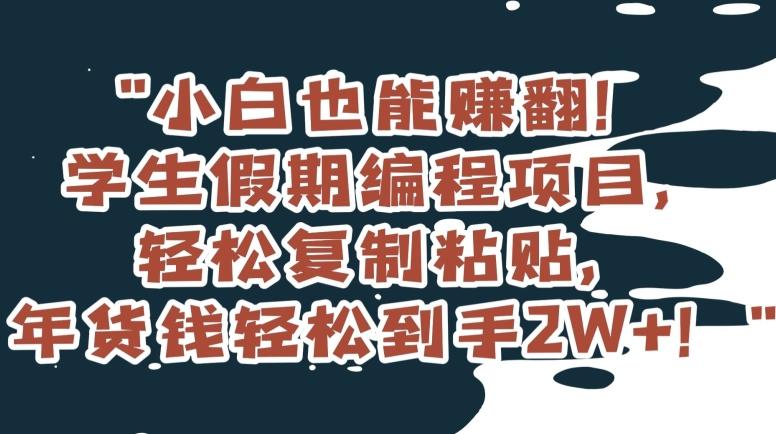 小白也能赚翻！学生假期编程项目，轻松复制粘贴，年货钱轻松到手2W+【揭秘】-优优云网创