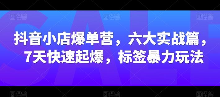 抖音小店爆单营，六大实战篇，7天快速起爆，标签暴力玩法-优优云网创