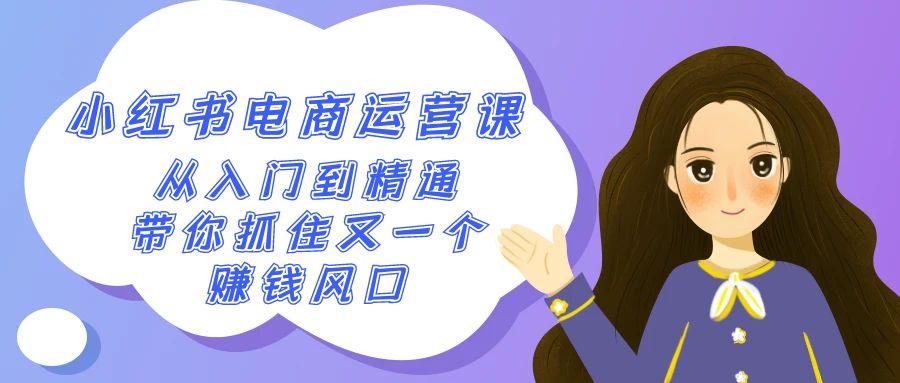 2024小红书-电商运营课，从入门到精通，带你抓住又一个赚钱风口(50节课)-优优云网创