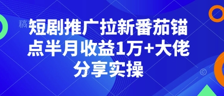 短剧推广拉新番茄锚点半月收益1万+大佬分享实操-优优云网创
