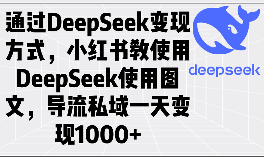 通过DeepSeek变现方式，小红书教使用DeepSeek图文，导流私域一天变现1000+-优优云网创