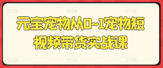 元宝宠物从0~1宠物短视频带货实战课-优优云网创