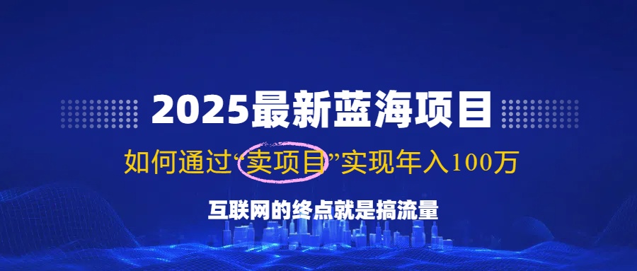 2025最新蓝海项目，零门槛轻松复制，月入10万+，新手也能操作！-优优云网创