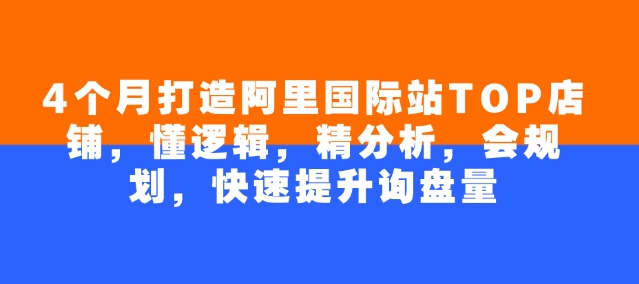4个月打造阿里国际站TOP店铺，懂逻辑，精分析，会规划，快速提升询盘量-优优云网创