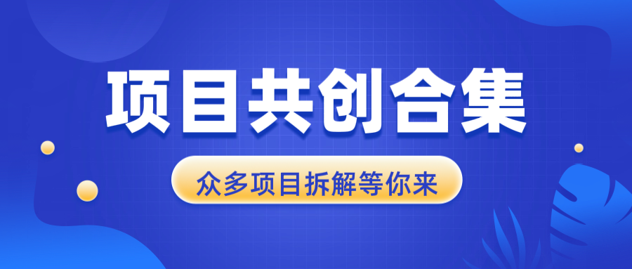 项目共创合集，从0-1全过程拆解，让你迅速找到适合自已的项目-优优云网创