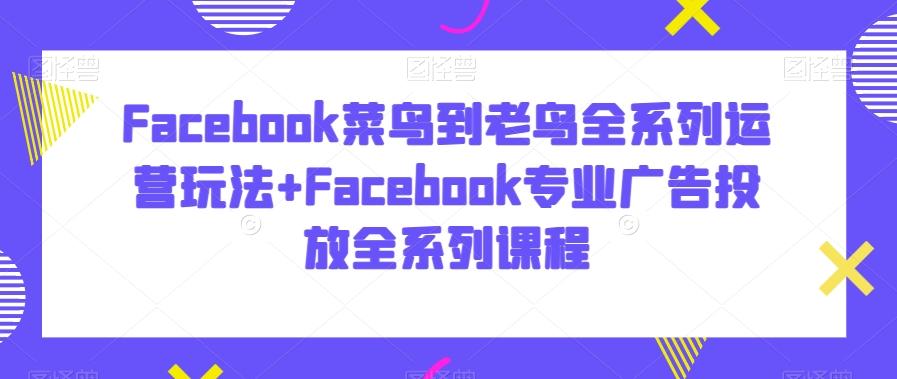 Facebook菜鸟到老鸟全系列运营玩法+Facebook专业广告投放全系列课程-优优云网创