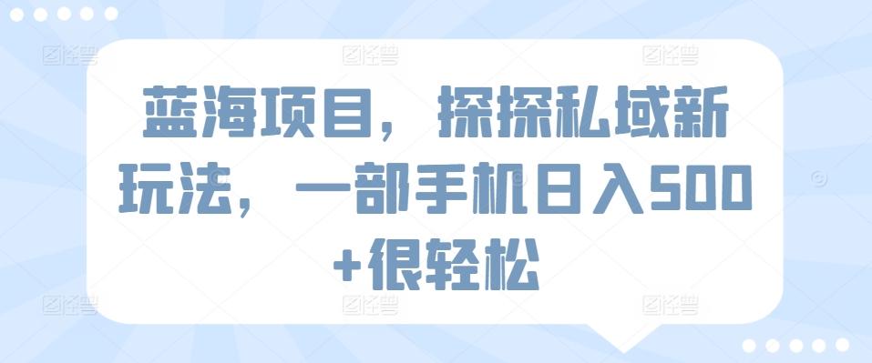 蓝海项目，探探私域新玩法，一部手机日入500+很轻松【揭秘】-优优云网创