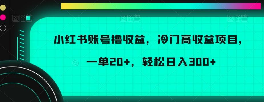小红书账号撸收益，冷门高收益项目，一单20+，轻松日入300+【揭秘】-优优云网创