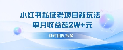 小红书私域项目新玩法，单月变现过W+-优优云网创