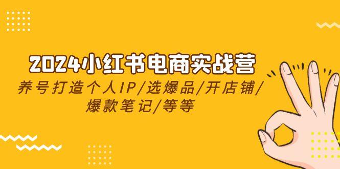 2024小红书电商实战营，养号打造IP/选爆品/开店铺/爆款笔记/等等(24节)-优优云网创