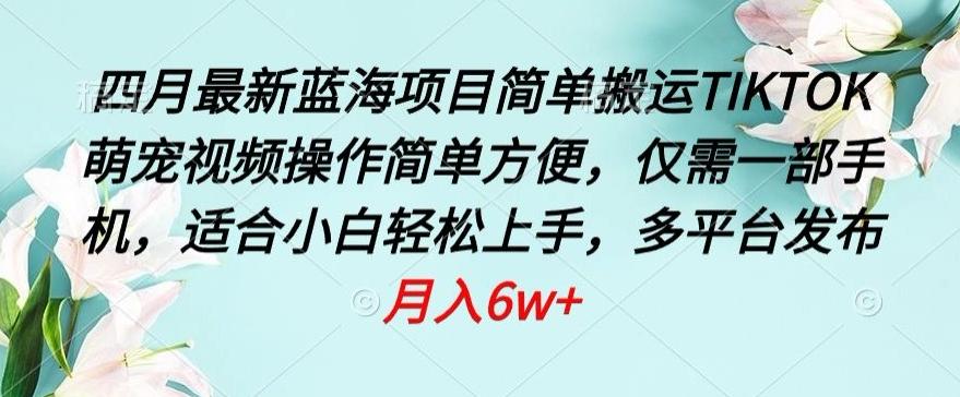 四月最新蓝海项目，简单搬运TIKTOK萌宠视频，操作简单方便，仅需一部手机【揭秘】-优优云网创