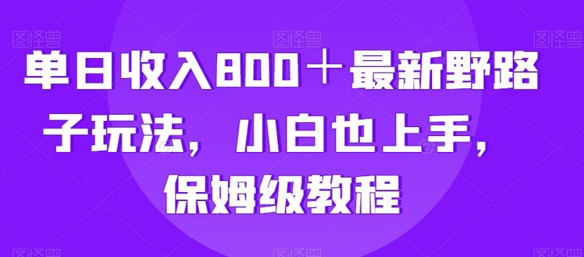 单日收入800＋最新野路子玩法，小白也上手，保姆级教程-优优云网创
