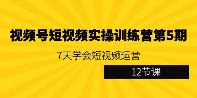 视频号短视频实操训练营第5期：7天学会短视频运营(12节课)-优优云网创