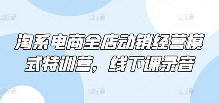 淘系电商全店动销经营模式特训营，线下课录音-优优云网创