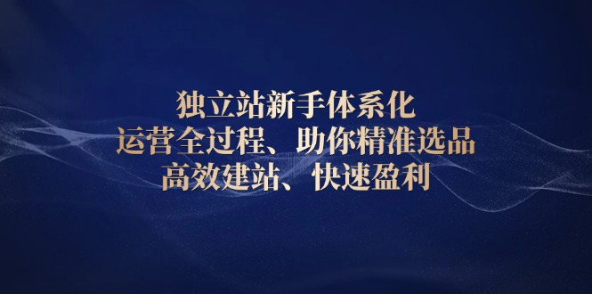 独立站新手体系化 运营全过程，助你精准选品、高效建站、快速盈利-优优云网创