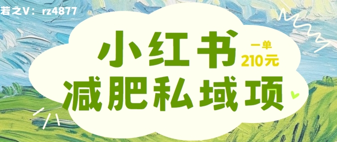 小红书减肥粉，私域变现项目，一单就达210元，小白也能轻松上手【揭秘】-优优云网创