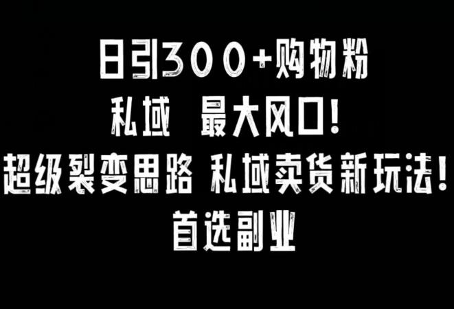 日引300+购物粉，超级裂变思路，私域卖货新玩法，小红书首选副业【揭秘】-优优云网创