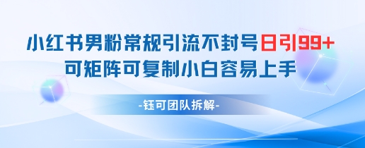 小红书男粉常规引流不封号日引99+变现简单 可矩阵可复制小白容易上手-优优云网创