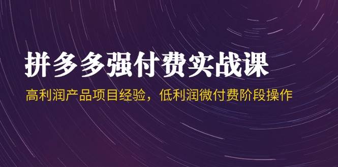 （14874期）拼多多强付费实战课-44期，高利润产品项目经验，低利润微付费阶段操作-优优云网创