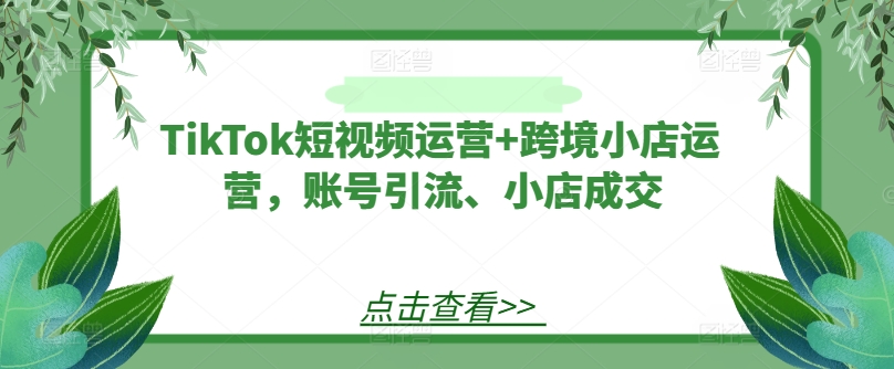 TikTok短视频运营+跨境小店运营，账号引流、小店成交-优优云网创
