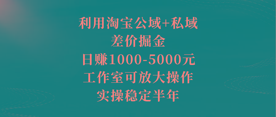 利用淘宝公域+私域差价掘金，日赚1000-5000元，工作室可放大操作，实操…-优优云网创