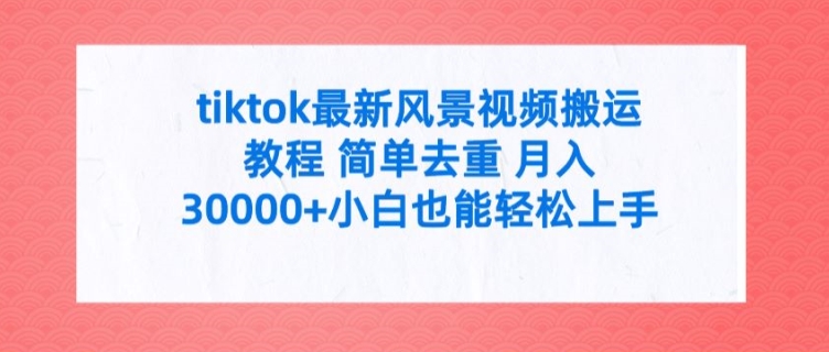 tiktok最新风景视频搬运教程 简单去重 月入3W+小白也能轻松上手【揭秘】-优优云网创