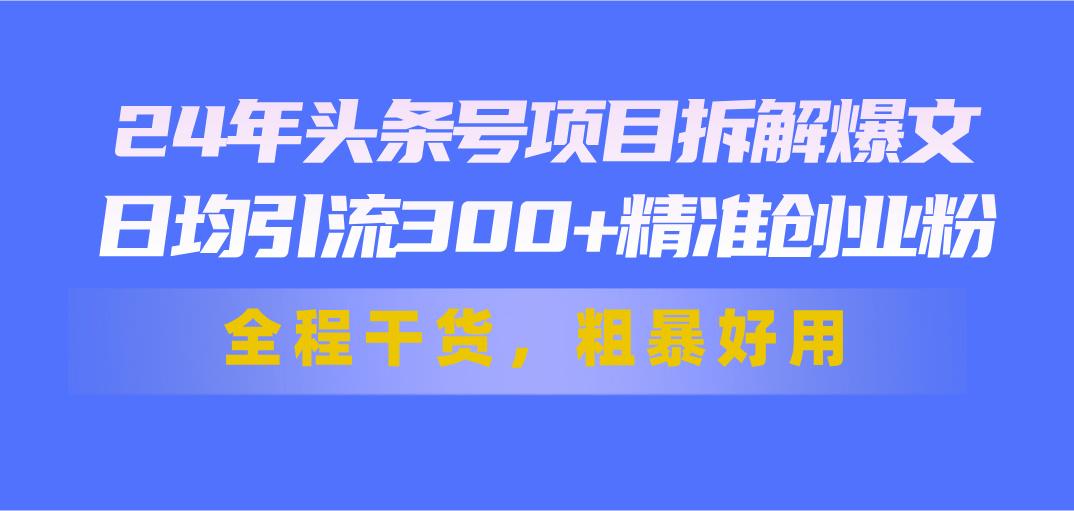 24年头条号项目拆解爆文，日均引流300+精准创业粉，全程干货，粗暴好用-优优云网创