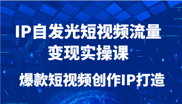 IP自发光短视频流量变现实操课，爆款短视频创作IP打造-优优云网创