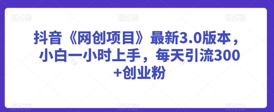 抖音《网创项目》最新3.0版本，小白一小时上手，每天引流300+创业粉【揭秘】-优优云网创