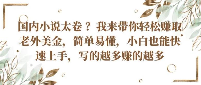 国内小说太卷 ?带你轻松赚取老外美金，简单易懂，小白也能快速上手，写的越多赚的越多【揭秘】-优优云网创