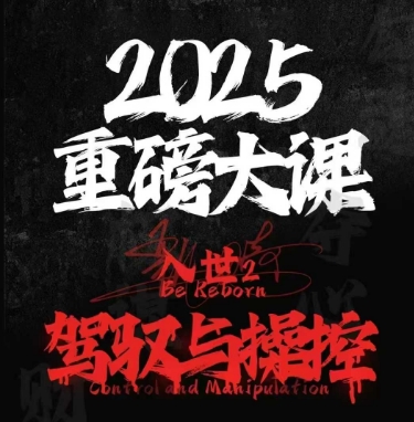 2025重磅大课，入世2，驾驭与控制-优优云网创