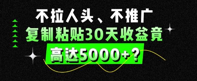 不拉人头、不推广，复制粘贴30天收益竟高达5000+？-优优云网创