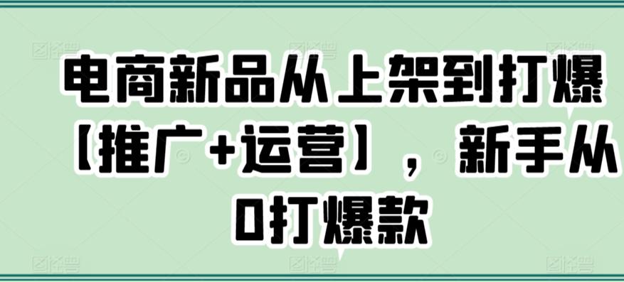 电商新品从上架到打爆【推广+运营】，新手从0打爆款-优优云网创