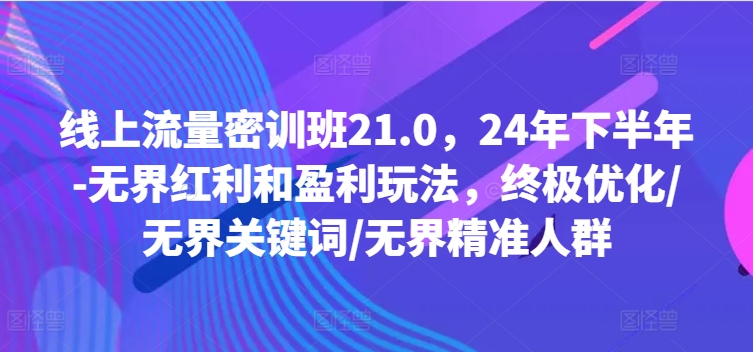 线上流量密训班21.0，24年下半年-无界红利和盈利玩法，终极优化/无界关键词/无界精准人群-优优云网创