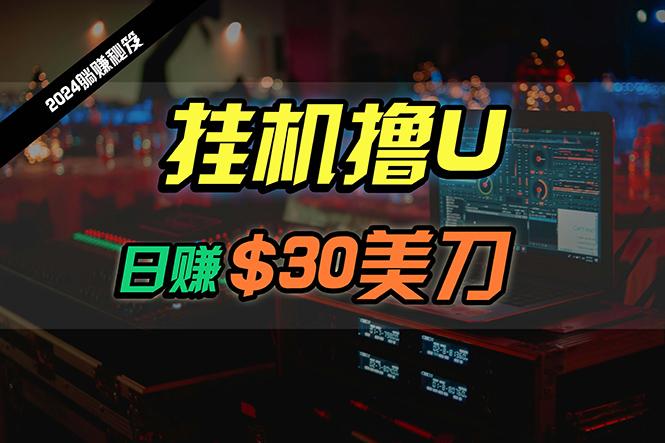 (10013期)日赚30美刀，2024最新海外挂机撸U内部项目，全程无人值守，可批量放大-优优云网创