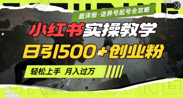 2月小红书最新日引500+创业粉实操教学【超详细】小白轻松上手，月入1W+，附小红书养号起号SOP-优优云网创