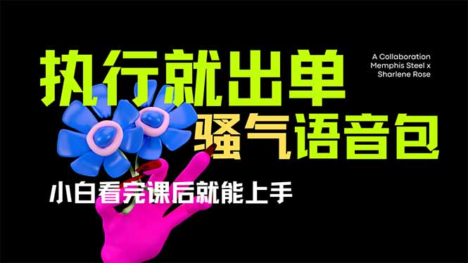爆火全网的开车导航骚气语音包,只要执行就出单，小白看完课程就能实操…-优优云网创