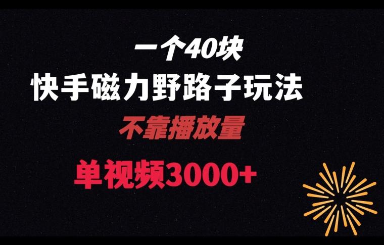 一个40块，快手联合美团磁力新玩法，无视机制野路子玩法，单视频收益4位数【揭秘】-优优云网创