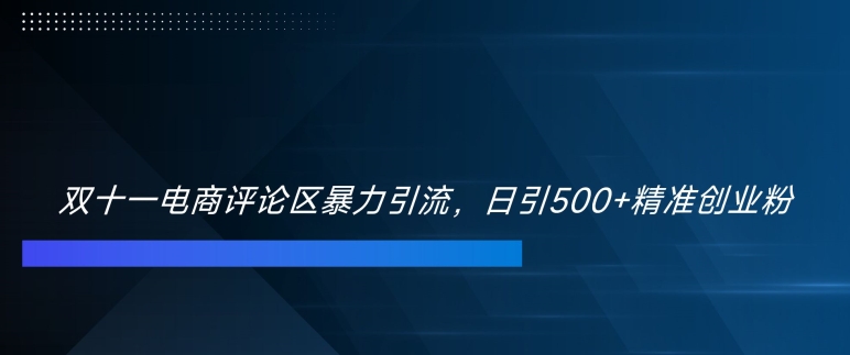 双十一电商评论区暴力引流，日引500+精准创业粉【揭秘】-优优云网创