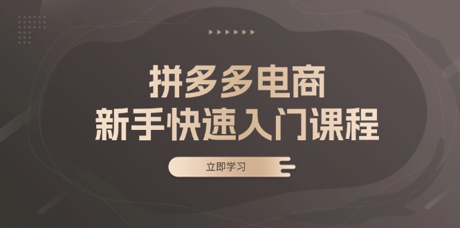 拼多多电商新手快速入门课程：涵盖基础、实战与选款，助力小白轻松上手-优优云网创