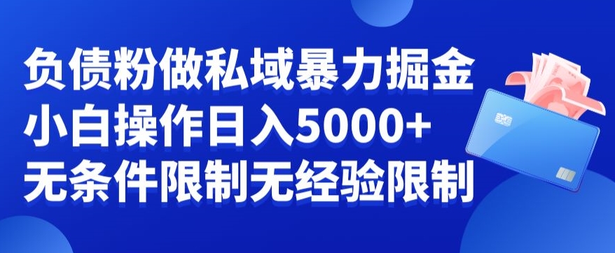 负债粉私域暴力掘金，小白操作入5000，无经验限制，无条件限制【揭秘】-优优云网创