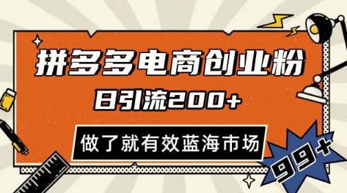 拼多多引流电商创业粉，日引200+，可矩阵放大，做了就有效【揭秘】-优优云网创
