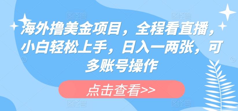 海外撸美金项目，全程看直播，小白轻松上手，日入一两张，可多账号操作【揭秘】-优优云网创