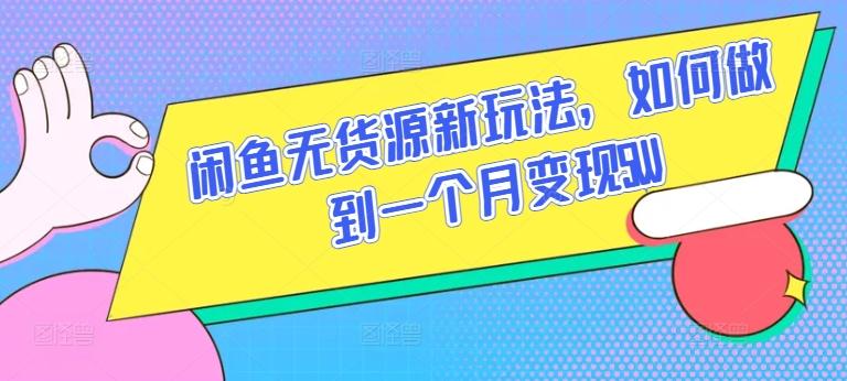 闲鱼无货源新玩法，如何做到一个月变现5W【揭秘】-优优云网创