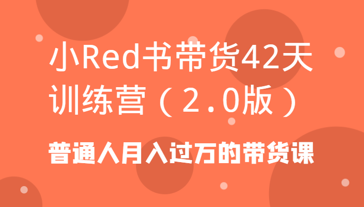 小Red书带货42天训练营(2.0版)普通人月入过万的带货课-优优云网创