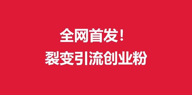 (全网首发)外面收费几千的裂变引流高质量创业粉-优优云网创