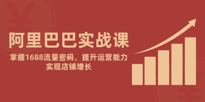 阿里巴巴实战课：掌握1688流量密码，提升运营能力，实现店铺增长-优优云网创