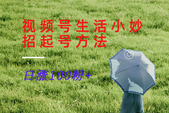 视频号生活小妙招分享赛道， 起号涨粉新方法，日涨100粉-优优云网创